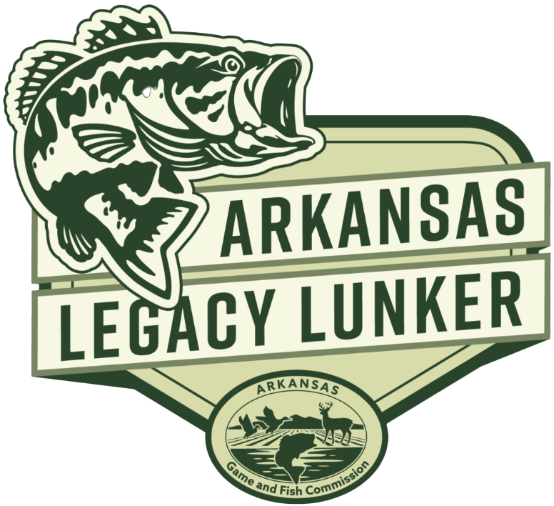 lllogo