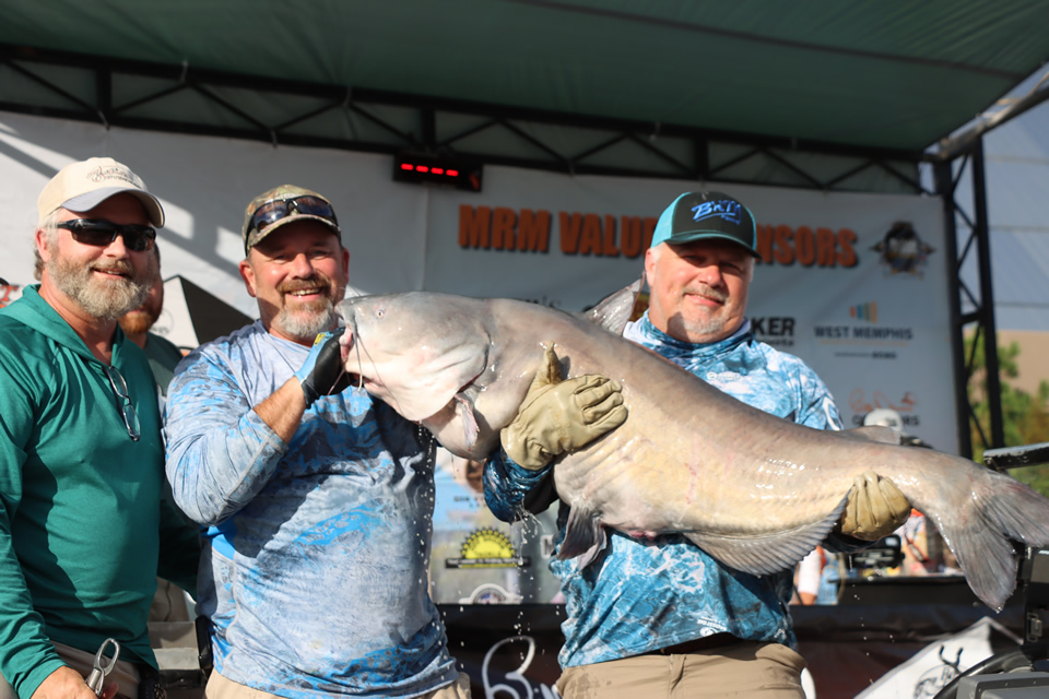 MISSISSIPPI RIVER MONSTERS CATFISH TOURNAMENT (135)