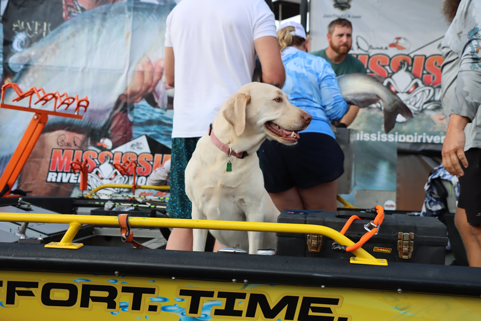 MISSISSIPPI RIVER MONSTERS CATFISH TOURNAMENT (142)