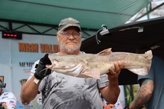 MISSISSIPPI RIVER MONSTERS CATFISH TOURNAMENT (31)