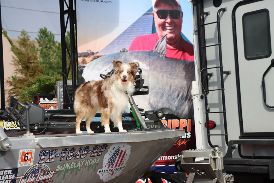 MISSISSIPPI RIVER MONSTERS CATFISH TOURNAMENT (41)